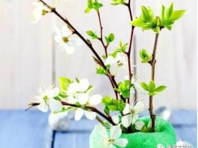 公众号投稿「馨蕾文学社」按量计酬