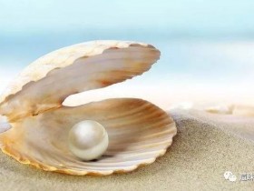 主题写作:《还珠文学》公众号征稿须知