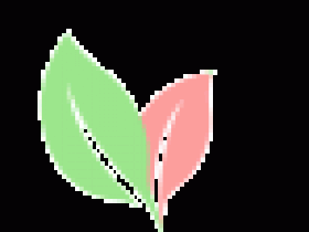 公众号【风吹落的旧时光】征稿